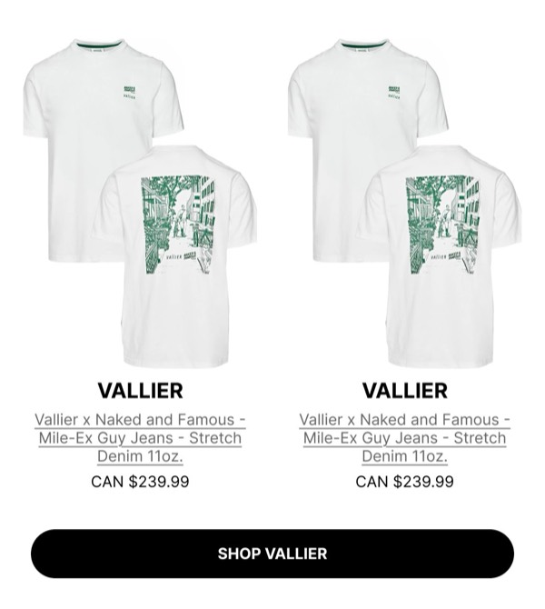 Product Display Section - Altitude email component (two column layout)