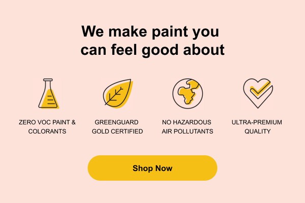 Eco-Friendly Paint Features - Clare email component (single column layout)