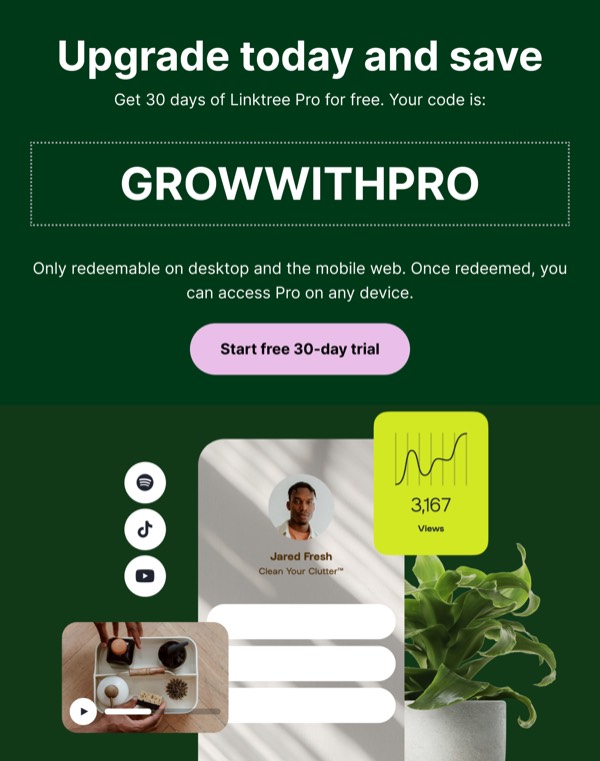 Upgrade Offer Email - Linktree email component (single column layout)