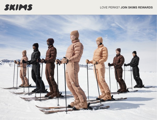 Ski Apparel Promotion - SKIMS email component (banner layout)
