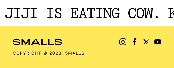 Simple Footer Design - Smalls email component (footer layout)