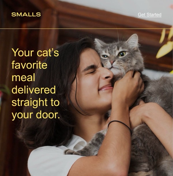 Cat Food Delivery Promotion - Smalls email component (single column layout)