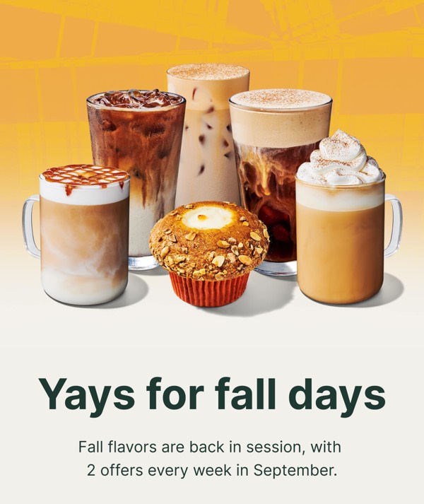 Fall Flavor Offers - Starbucks email component (single column layout)