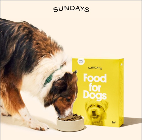 Dog Food Promotion - Sundays email component (single column layout)