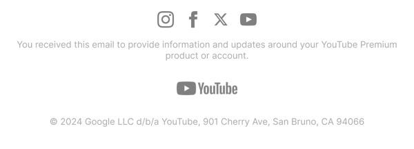 Email Footer Information - YouTube email component (single column layout)